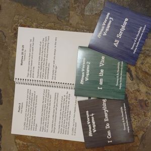 Mega Verse Scripture CDs